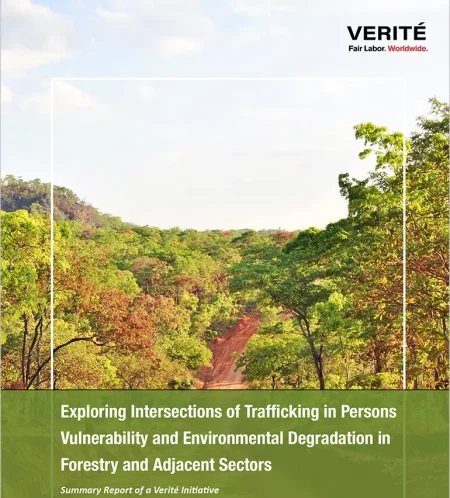 Exploring intersections in forestry
