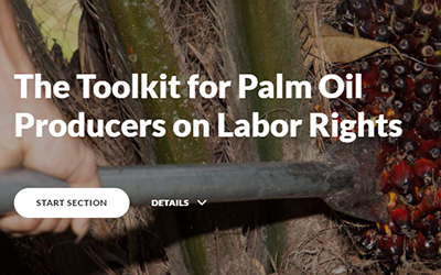 Worker Moving Palm Oil Plants