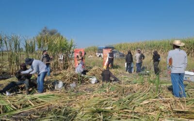 Training Session with Sugarcane Workers