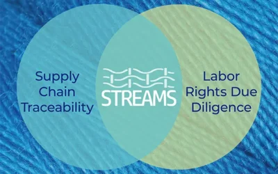 Conclusion of the STREAMS Project