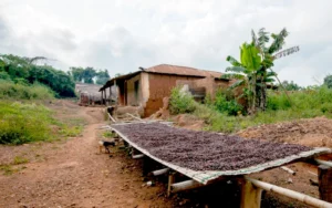 Click here to Access Tools for West African Cocoa Sector