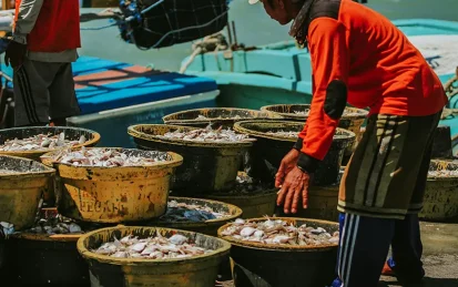 A man moving buckets of fresh fish at a port