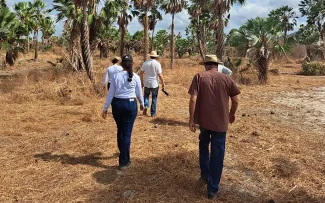Verité team walking with farmers through a field