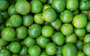 image of citrus fruit