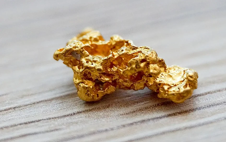 Close-up of a large gold nugget