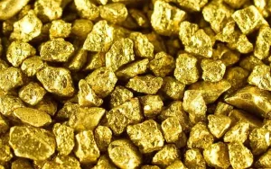 Gold nuggets