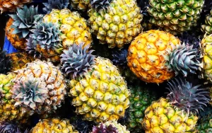 A pile of harvested pineapples