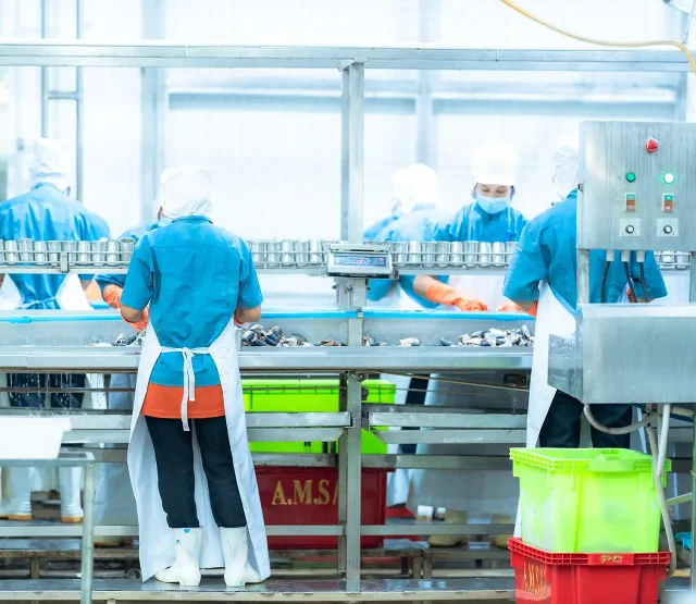 Workers in a food canning factory