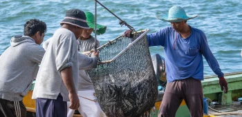 seafood industry workers