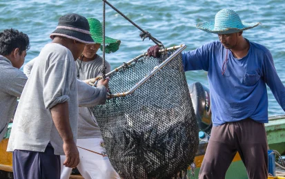 seafood industry workers