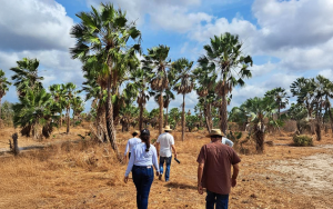 Verité team and partners in the field in Brazil