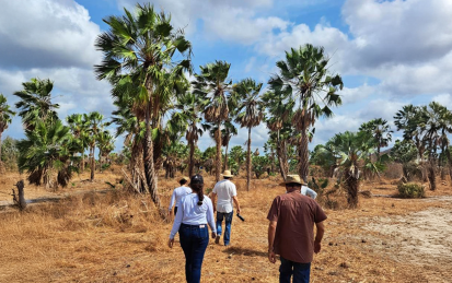 Verité team and partners in the field in Brazil