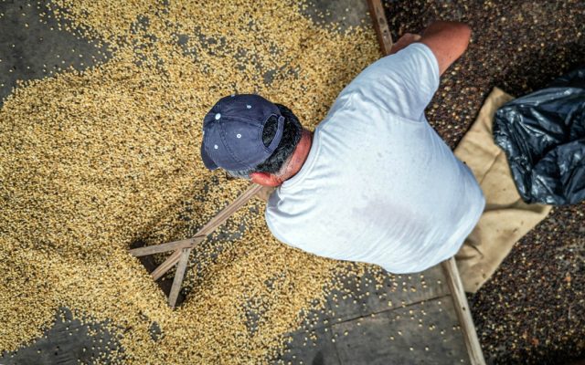Coffee Workers photo by Preston Keres