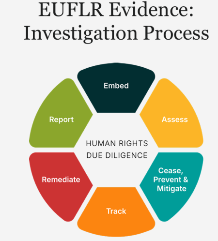 EUFLR Evidence: Investigation Process